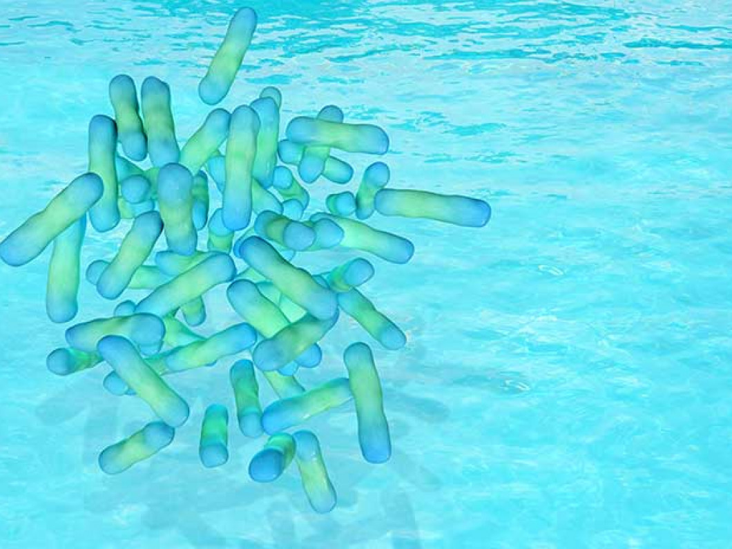  Legionella testing in New York City, NY